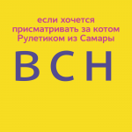 Как в самоизоляции помогать бездомным животным?