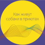Для нас они как дети
