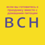 Животные и Новый год. Что может пойти не так?
