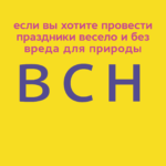 Экологичный Новый год: инструкция по применению